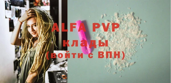 PSILOCYBIN Шали