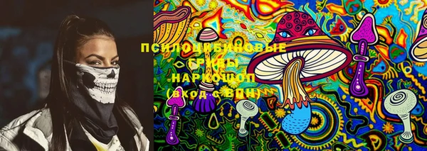 PSILOCYBIN Шали