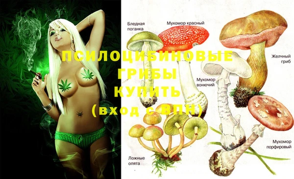 PSILOCYBIN Шали