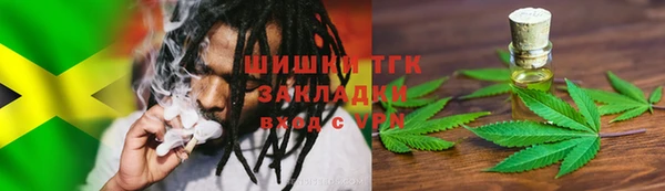 PSILOCYBIN Шали