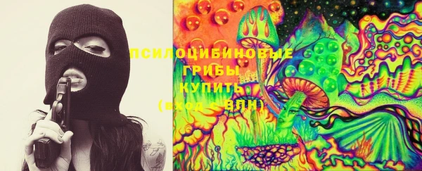 прущий лед Щигры