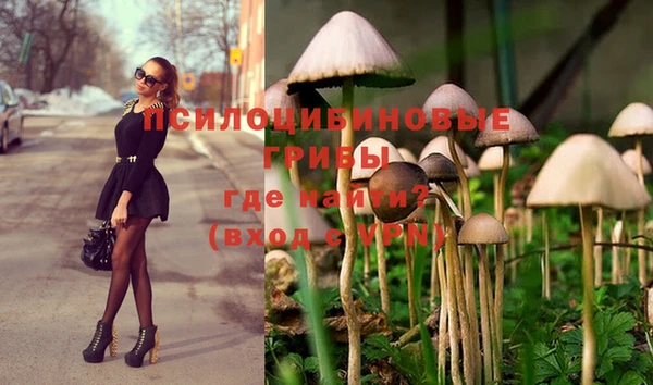 герыч Шарыпово