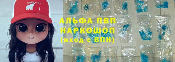 PSILOCYBIN Шали