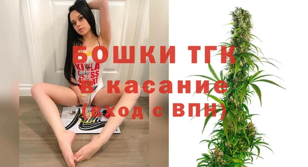 PSILOCYBIN Шали
